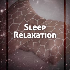 Обложка для Nature Sounds for Sleep and Relaxation - Serenity