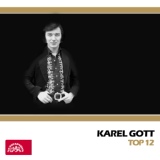 Обложка для Karel Gott - Muzika