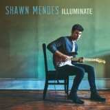 Обложка для Shawn Mendes - There's Nothing Holdin' Me Back