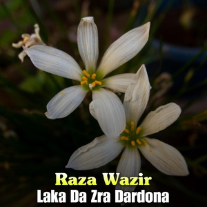 Обложка для Raza Wazir - Sham De Jar Lata Nazaka