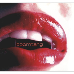 Обложка для Boomtang - The Rhythm