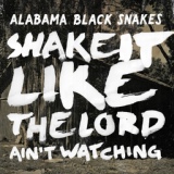 Обложка для Alabama Black Snakes - Lightings and Opossums