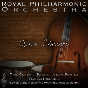 Обложка для ROYAL PHILHARMONIC ORCHESTRA - Anvil Chorus