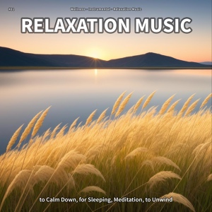 Обложка для Wellness, Instrumental, Relaxation Music - Relaxation Music, Pt. 19