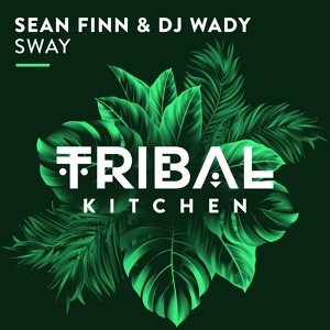 Обложка для Sean Finn, DJ Wady - Sway