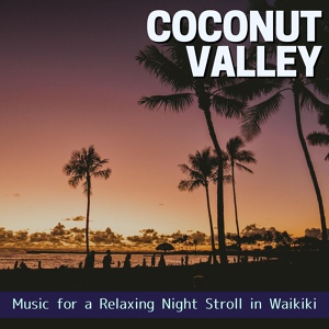 Обложка для Coconut Valley - The Perfect View