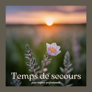 Обложка для Oasis de Luxe - Le soleil du matin