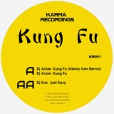 Обложка для DJ Ande - Kung Fu