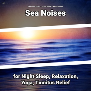 Обложка для Sea Sound Effects, Ocean Sounds, Nature Sounds - Nature Sounds
