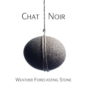 Обложка для Chat Noir /Weather Forecasting Stone 2011/ - Stone Is Wet
