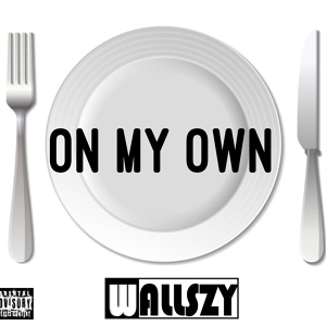 Обложка для Wallszy - On My Own