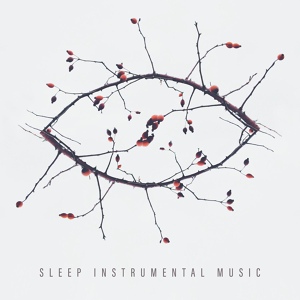 Обложка для Insomnia Cure Music Society - Slow Music Relax