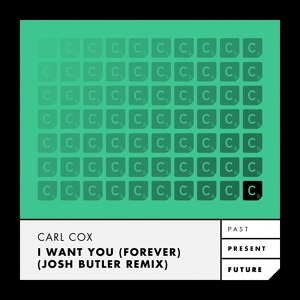 Обложка для Carl Cox - I Want You (Forever)