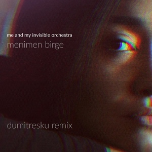 Обложка для Me and My Invisible Orchestra - Menimen Birge