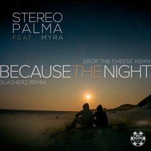 Обложка для Stereo Palma feat. Myra - Because the Night (Drop the Cheese Extended Remix) [vk.com/retro_remixes]