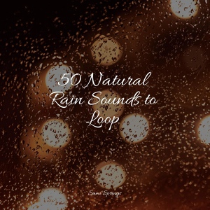 Обложка для Meditação Clube, Pacific Rim Nature Sounds, Sonidos de lluvia para dormir - Rainy Ambience