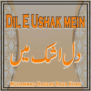 Обложка для Muhammad Hassan Raza Khan - Dil E Ushak mein