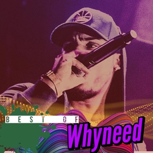 Обложка для Whyneed - In Deh