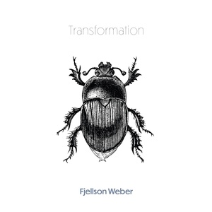Обложка для Fjellson Weber - Transformation