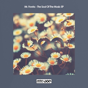 Обложка для Mr. Fowks - The Soul Of The Music