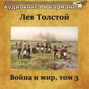 Обложка для Аудиокнига в кармане, Денис Некрасов - Война и мир, Том 3, Чт. 35