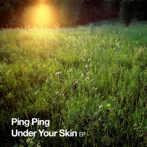 Обложка для Ping Ping - Skin