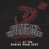 Обложка для Too Slim and the Taildraggers - Kingsize Troublemaker