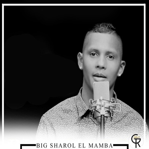 Обложка для Big Sharol - No Todos Somos Igual