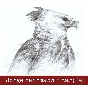 Обложка для Jorge Herrmann - Harpia