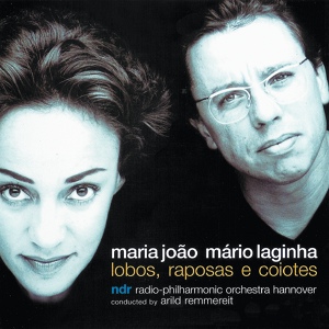 Обложка для Maria João, Mário Laginha - Chão