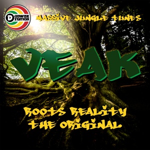 Обложка для Veak - Roots reality