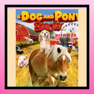 Обложка для Vituia - A Dog and Pony Show With Lsd