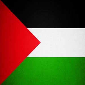 Обложка для gzhv - Palestine