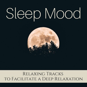 Обложка для New Age Mood - Sleep Mood