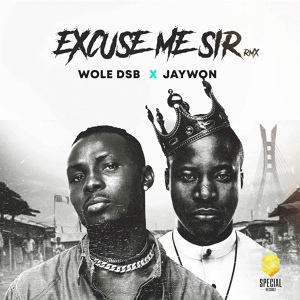 Обложка для Wole DSB - Excuse Me Sir ft. Jaywon