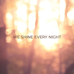 Обложка для We Shine Every Night - Long Day, Long Live