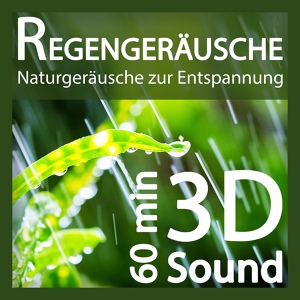 Обложка для Regengeräusche - Regengeräusche (3D-Sound ohne Musik) - Naturgeräusche zur Entspannung