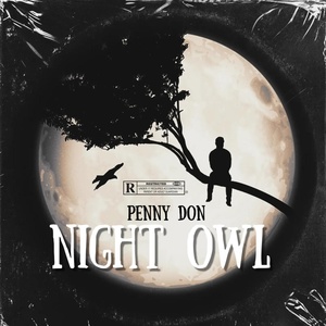 Обложка для Penny Don - Night Owl