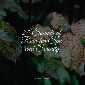 Обложка для Sounds of Nature Relaxation, Spa Music Relaxation, Sample Rain Library - Umbrella Rain