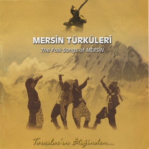 Обложка для Musa Eroğlu - Sarı Yaylam