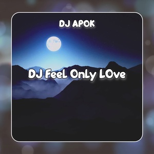 Обложка для DJ Apok - DJ Feel Only Love
