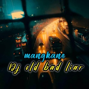 Обложка для DS Lb - DJ Old Bad Liar Mangkane