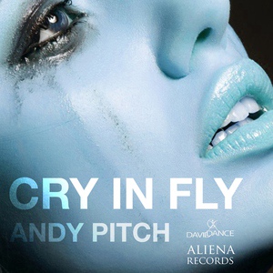 Обложка для Andy Pitch - Cry In Fly