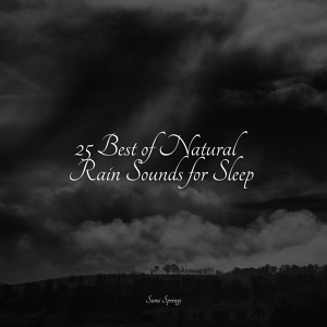 Обложка для Pink Noise, Sleep Meditation Dream Catcher, Sleep Lullabies for Newborn - Soft Window Rains