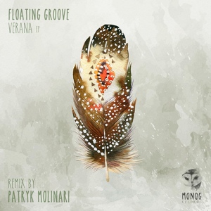 Обложка для Floating Groove - Consciens