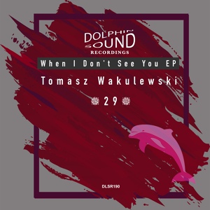 Обложка для Tomasz Wakulewski - When I Don't See You