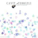 Обложка для Cavit Təbrizli - Yar bu gecə