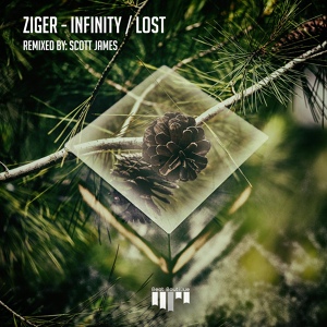 Обложка для Ziger - Infinity