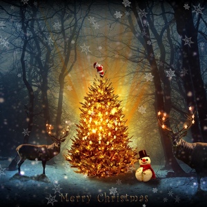 Обложка для Christmas Song, New Years Eve Djs Collective, Christmas Songs - Wishing You Magic