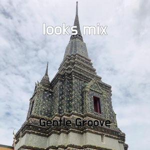 Обложка для Gentle Groove - looks mix